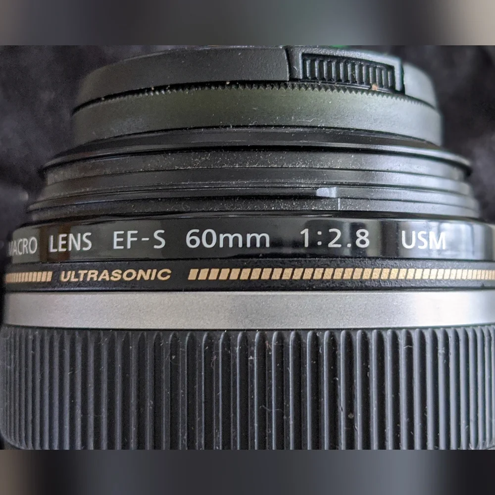 Canon 62mm Macro Lens